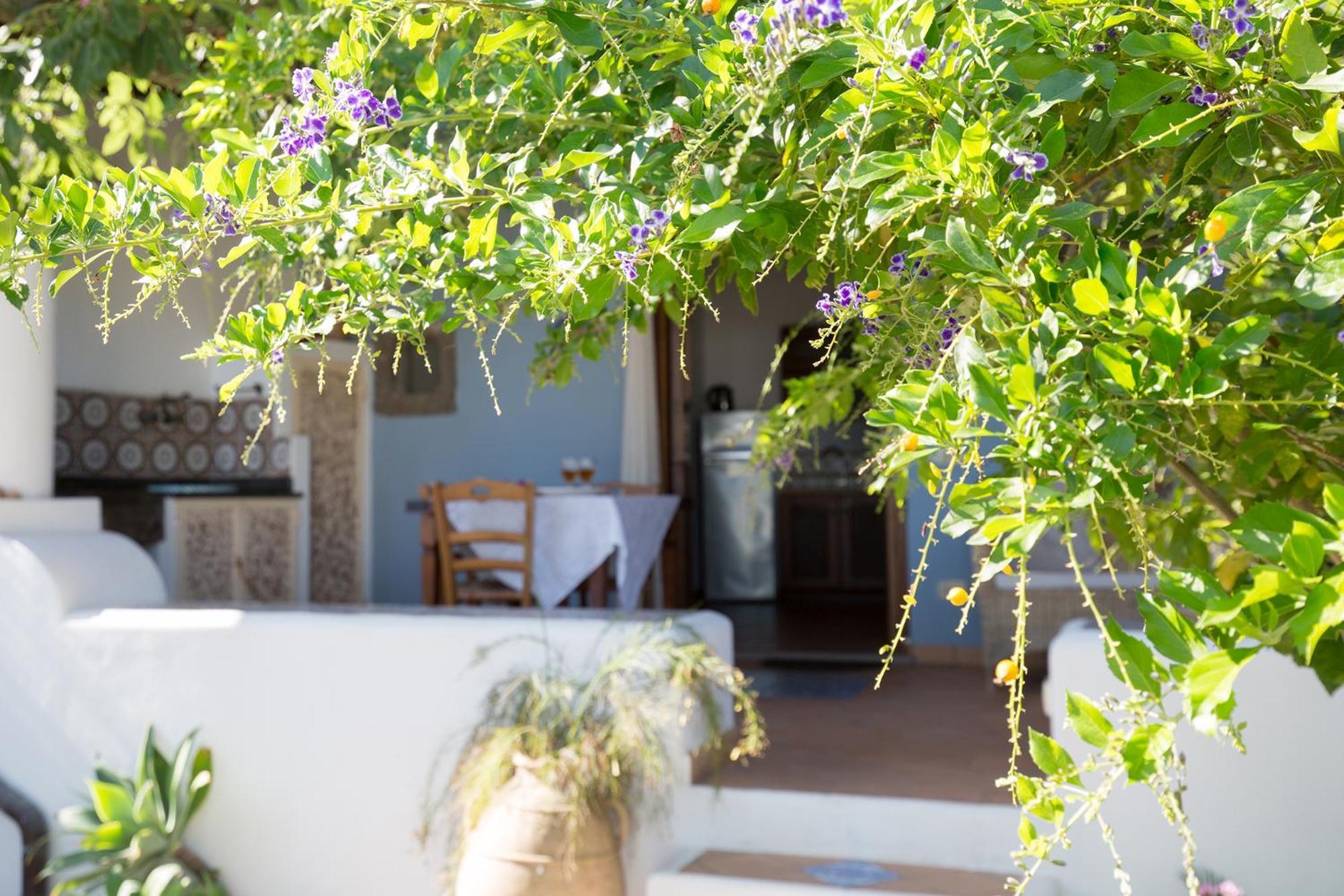 Villa Agrumeto Lipari  Exterior foto